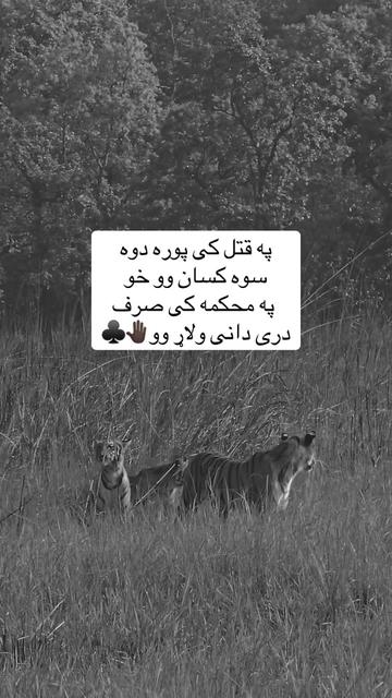 @🥷🏿کــــپــــچــــه🥷🏿