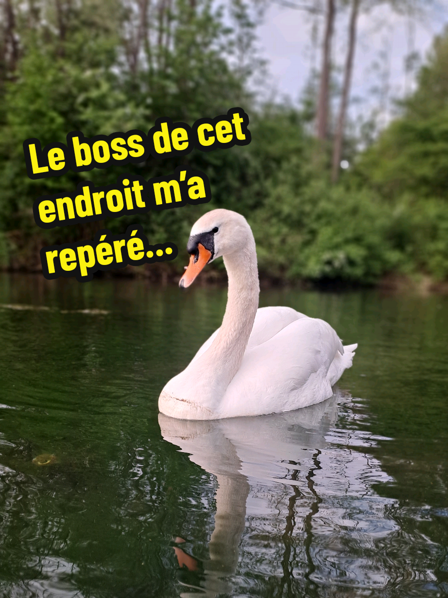 @Euchmath