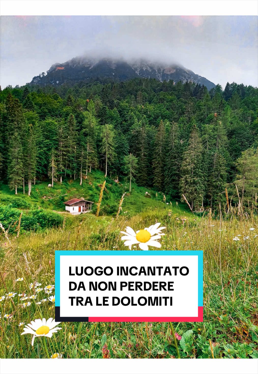 @Martina Aiello