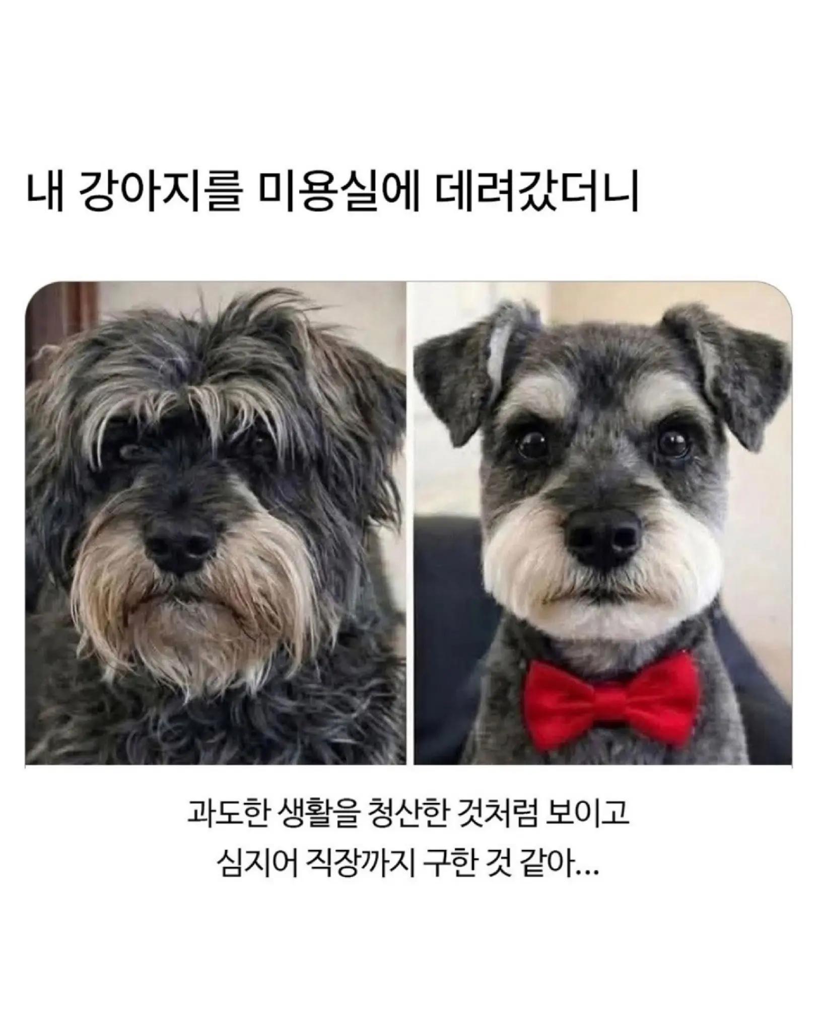 @로이젤