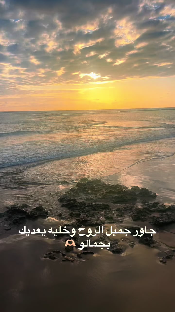 @Omfarouk_7