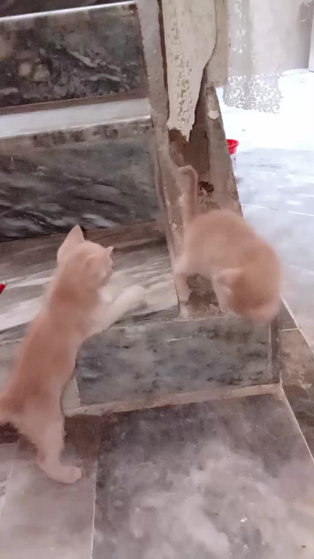 @cutecatlover8172