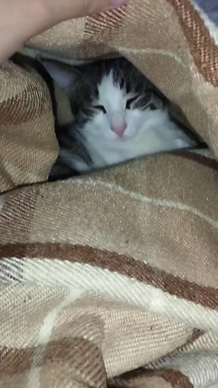 @🐾
