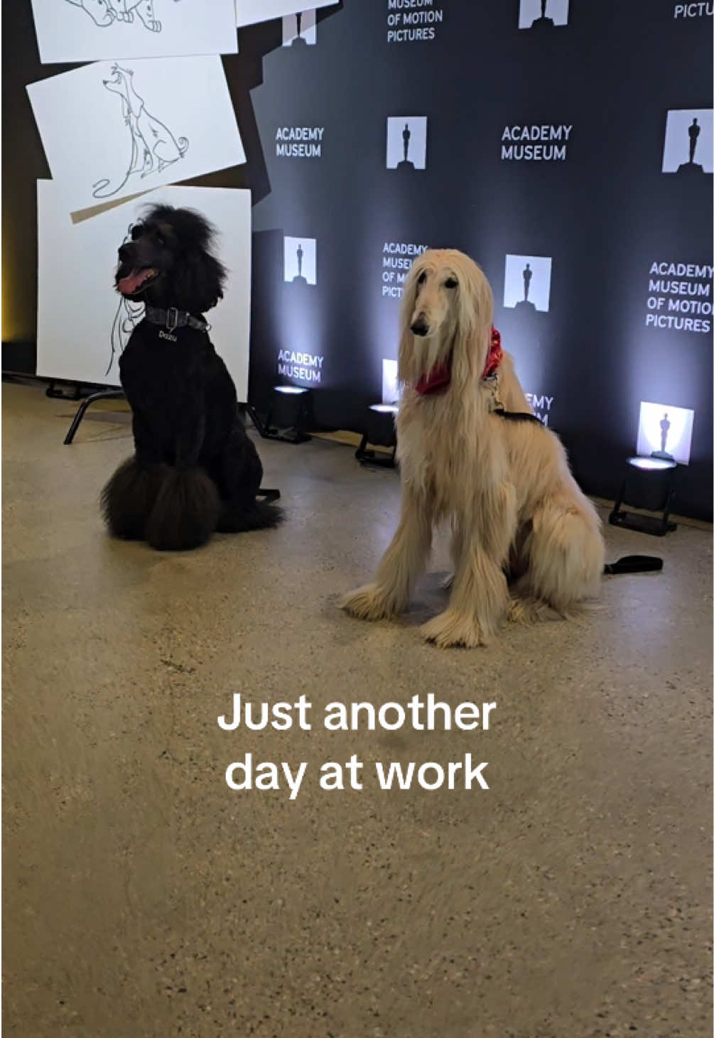 @Academy Museum
