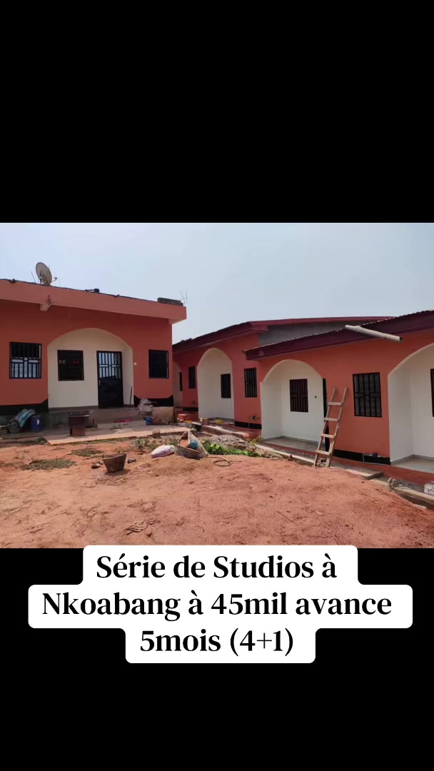 @DINO~IMMO~237🇨🇲🇨🇲