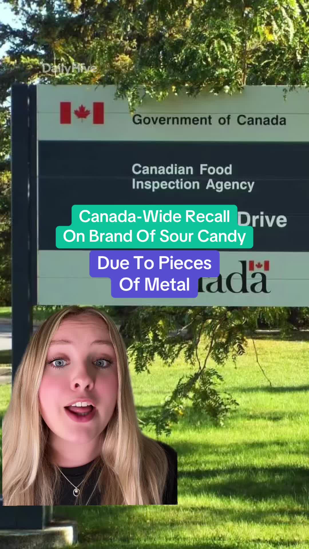 @dailyhivecanada