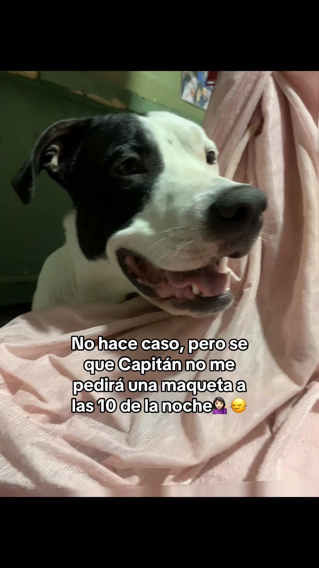 @𝔾𝕚𝕧𝕖𝕝𝕪 𝔻𝕒𝕪𝕒𝕟𝕟𝕒❤️
