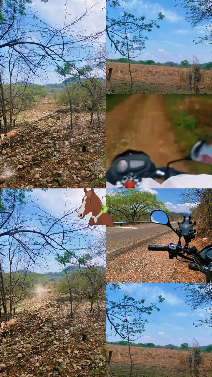 @👻