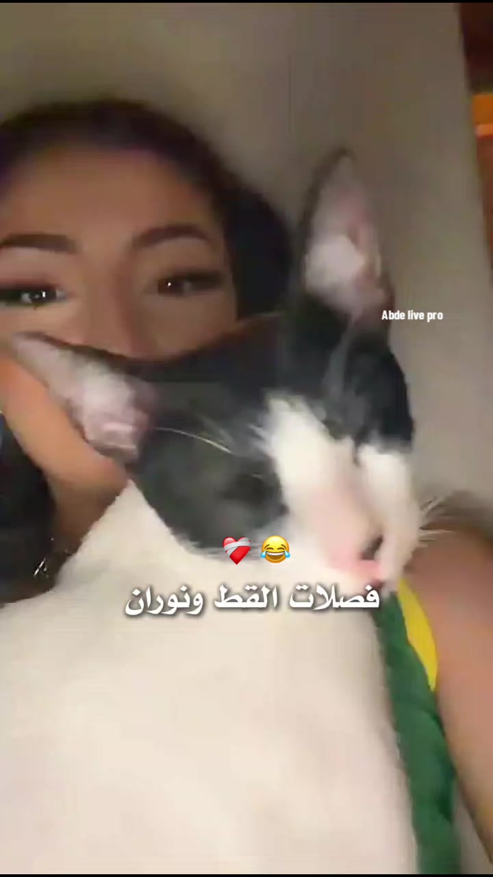@– ๐จ๐๐
๐โฆ๐ณ๐๐๐โฆ๐๐๐ ๐ฅ–