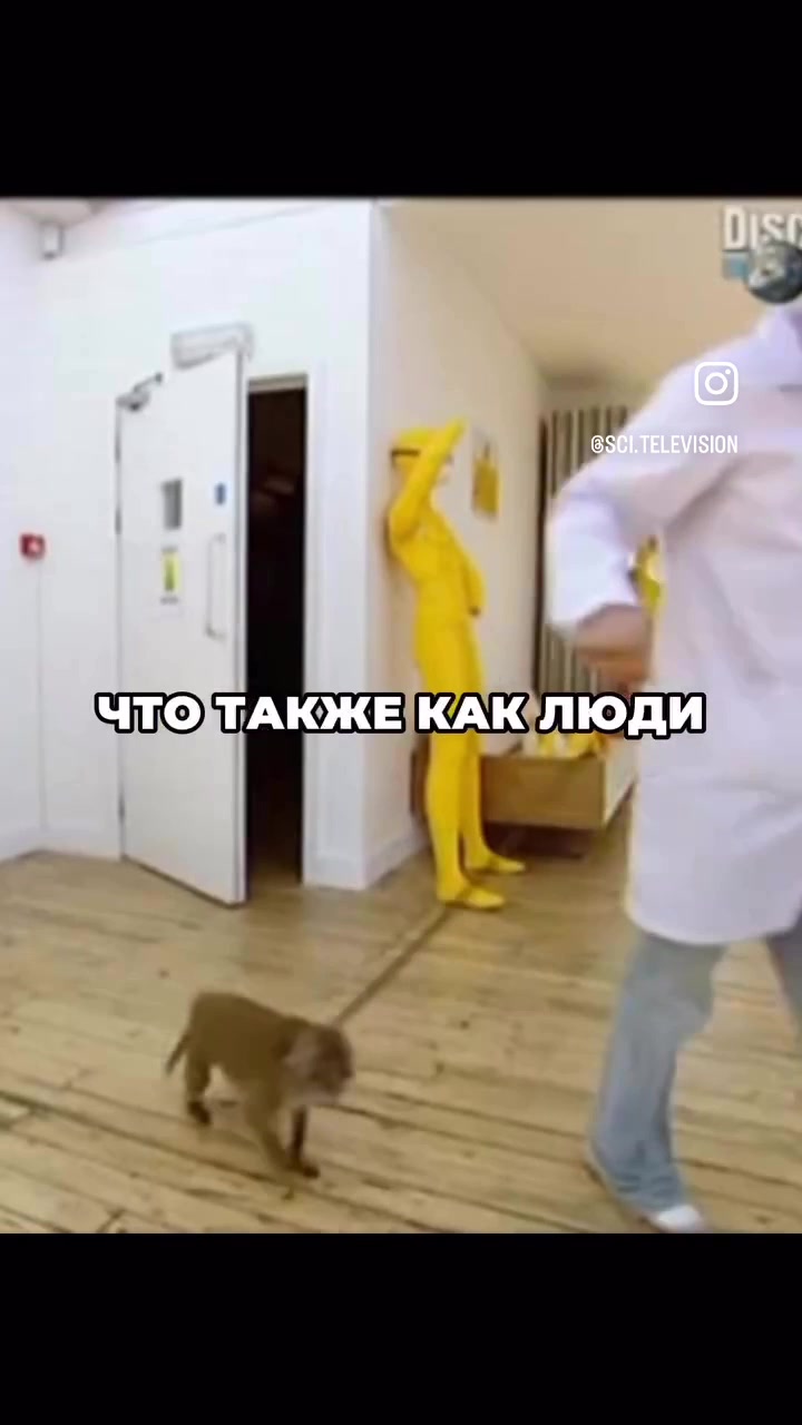@bayohet