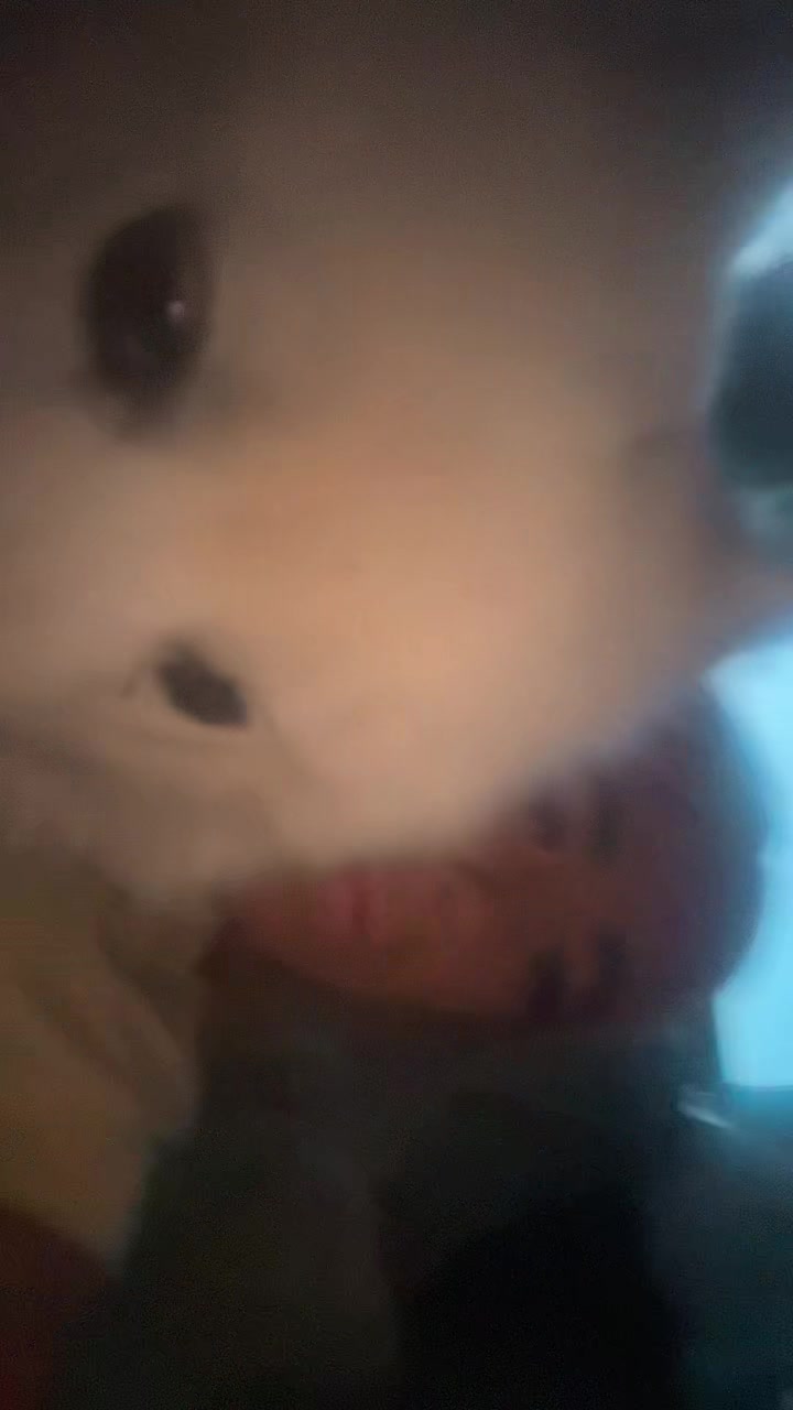 @𝐋𝐢𝐥𝐥𝐲 𝐦𝐚𝐞
