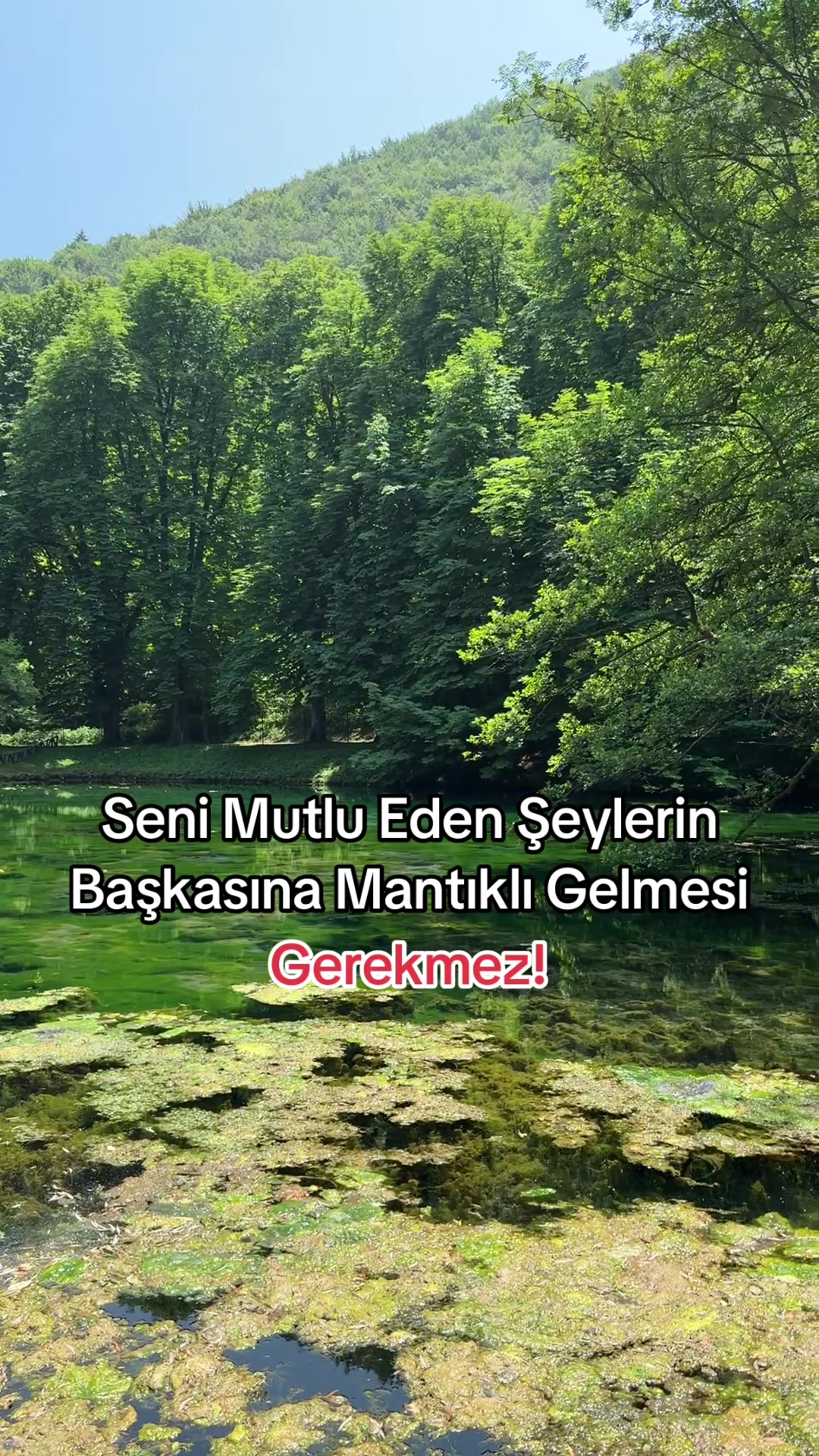 @suleyman.imay