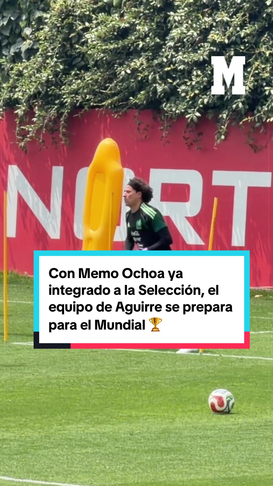 @MARCA M&eacute;xico 🇲🇽