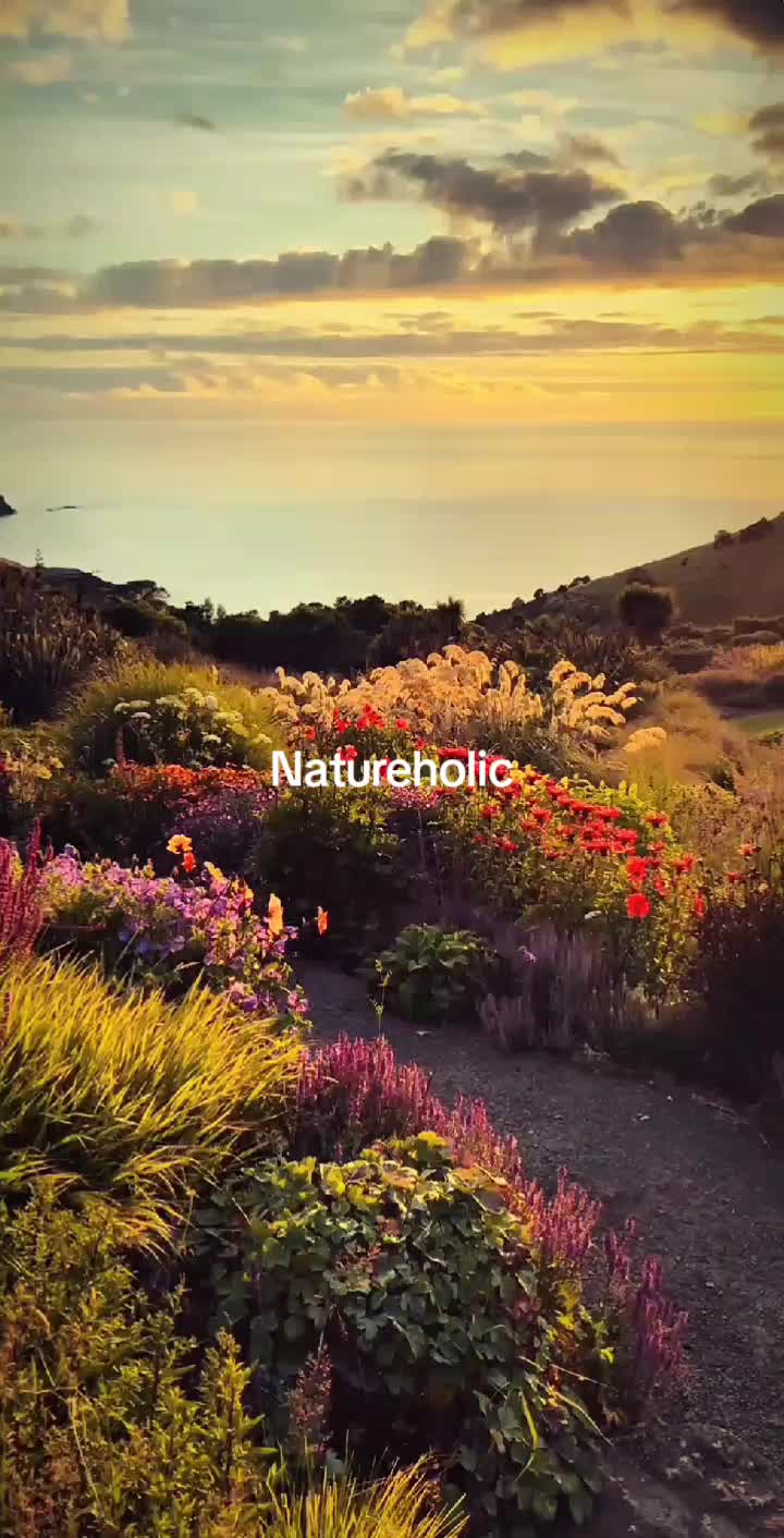 @𖣂Qifari𖣂?