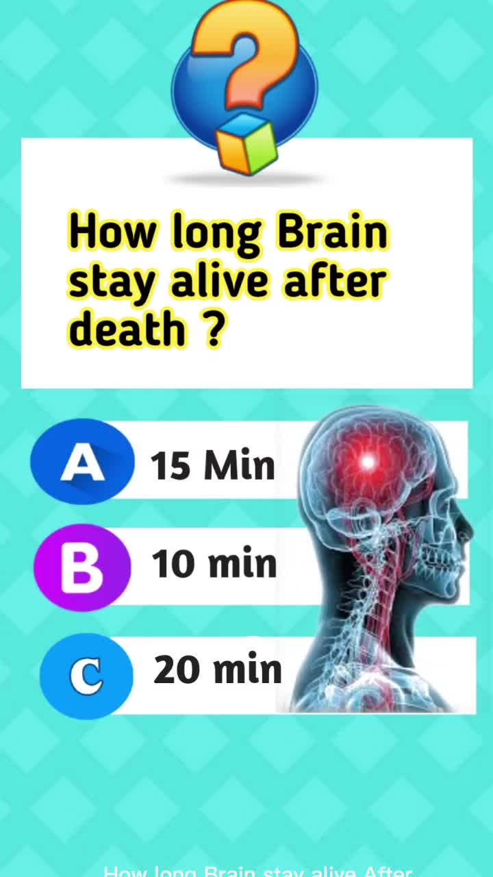 @Knowledge ✍️
