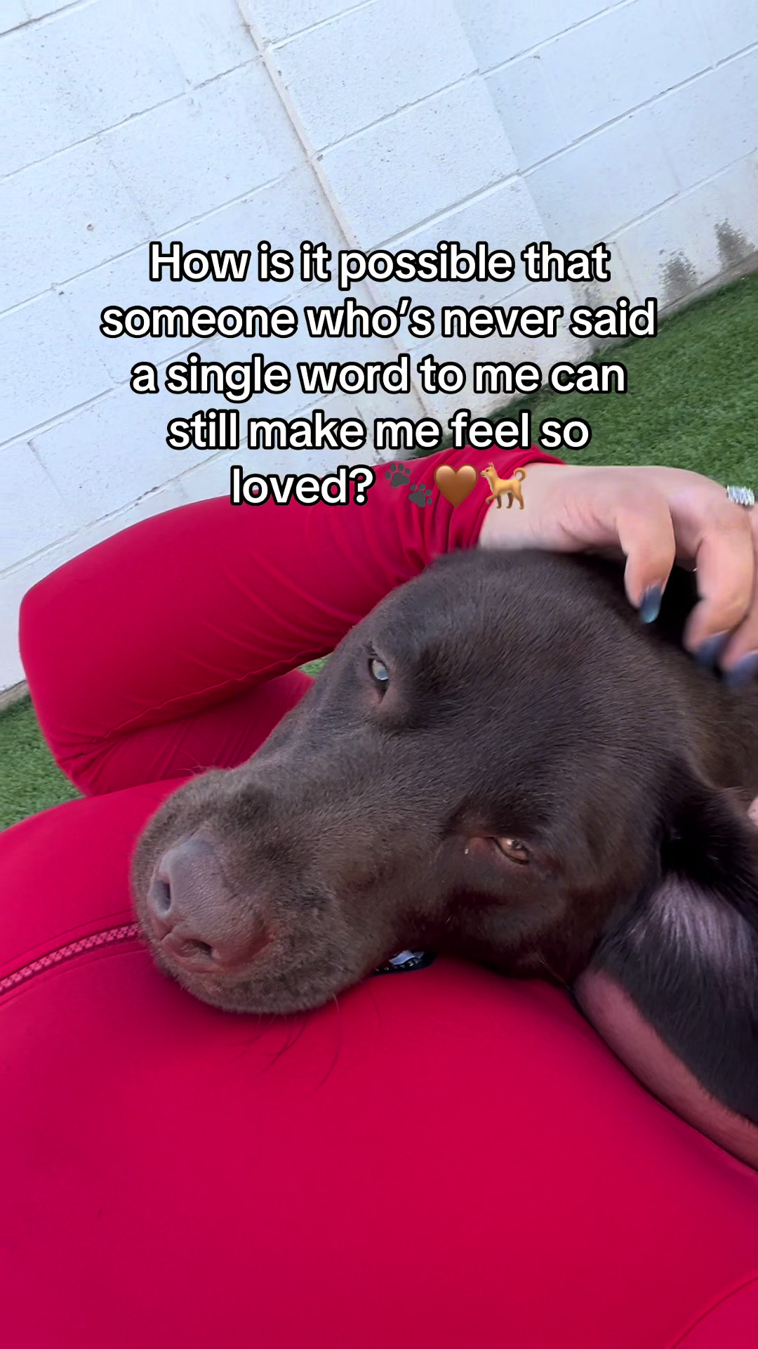 @Ms.Chilli 🌶️