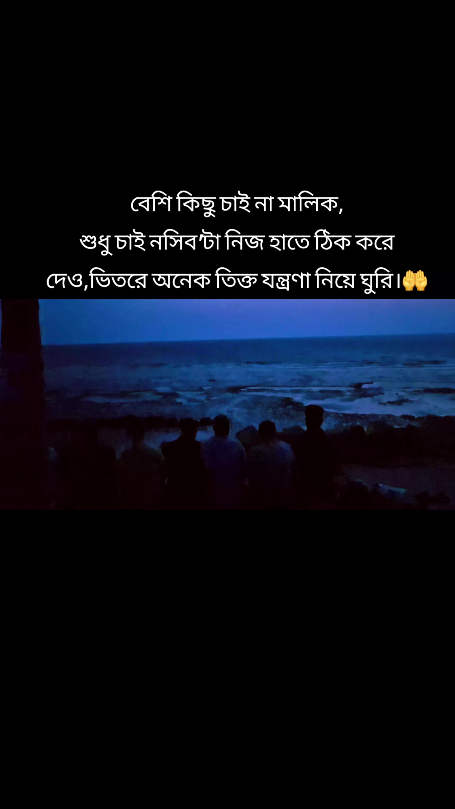 @showkat ali