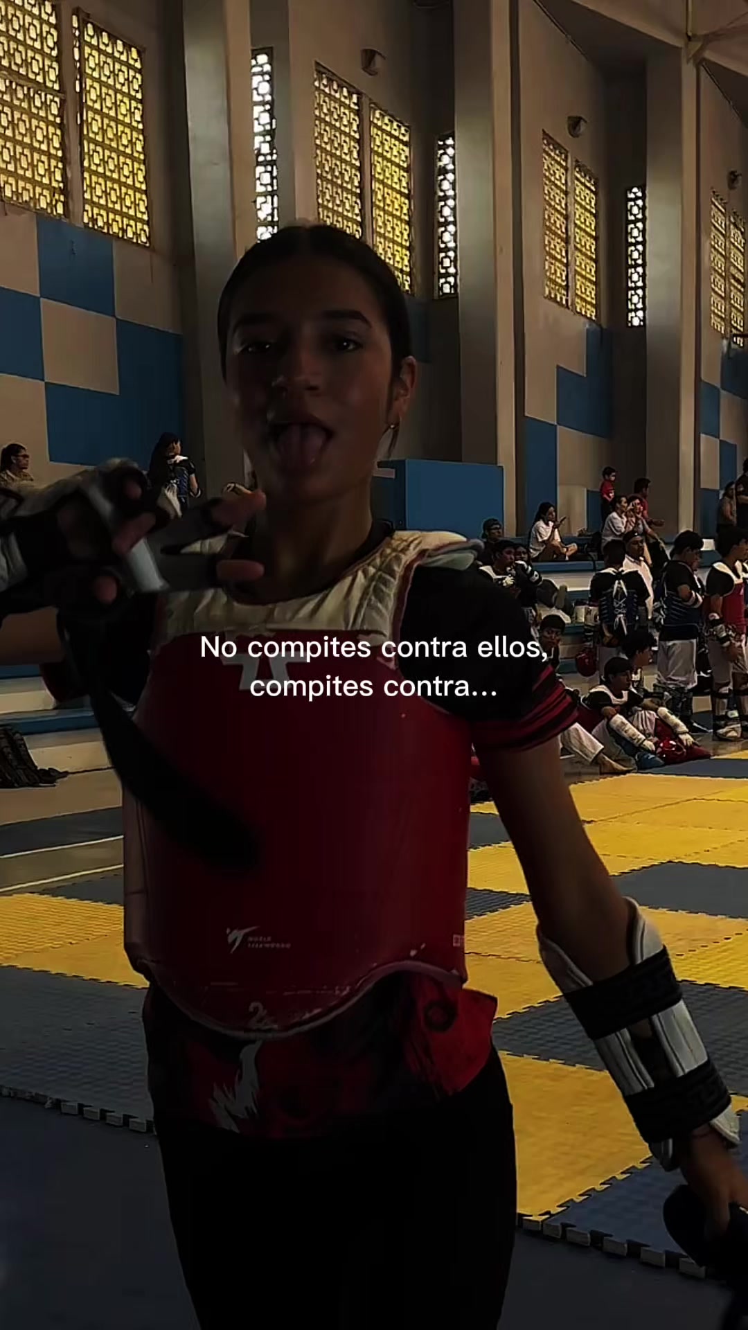 @taekwondolionsteam
