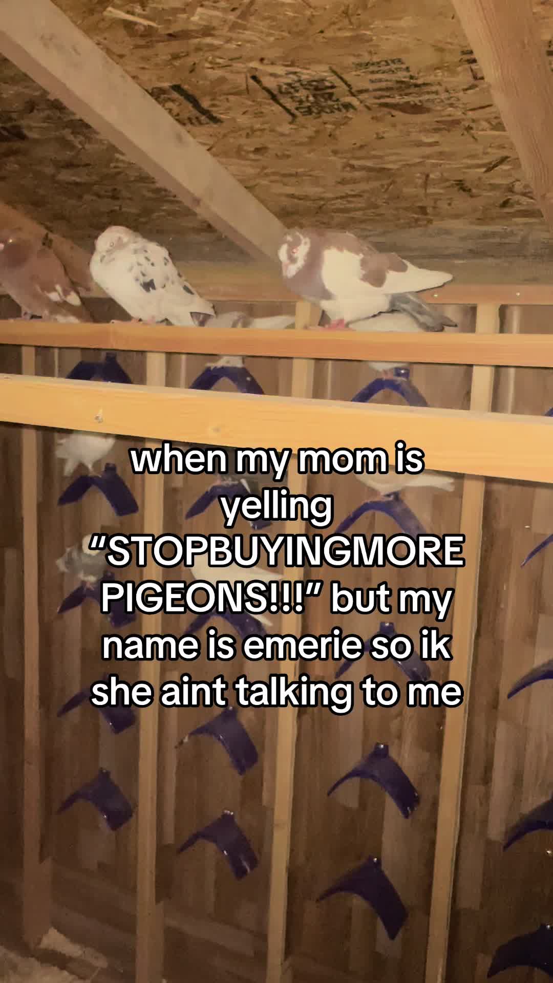 @emerie
