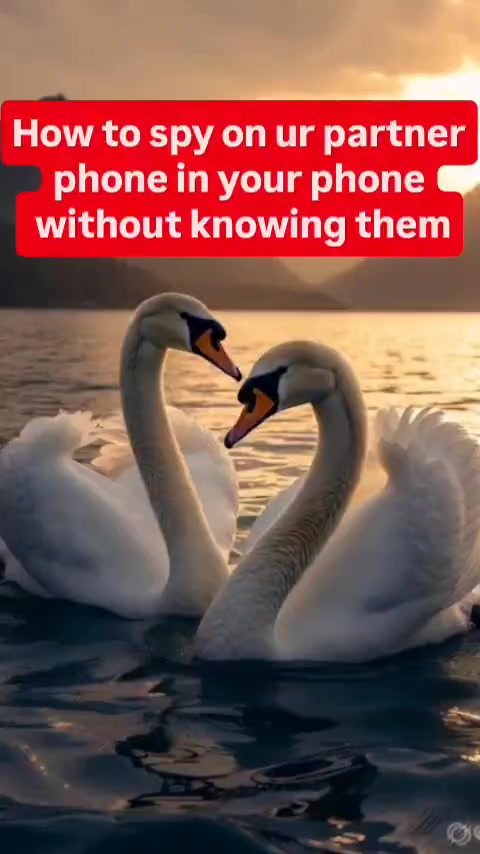 @tiktok account hacker