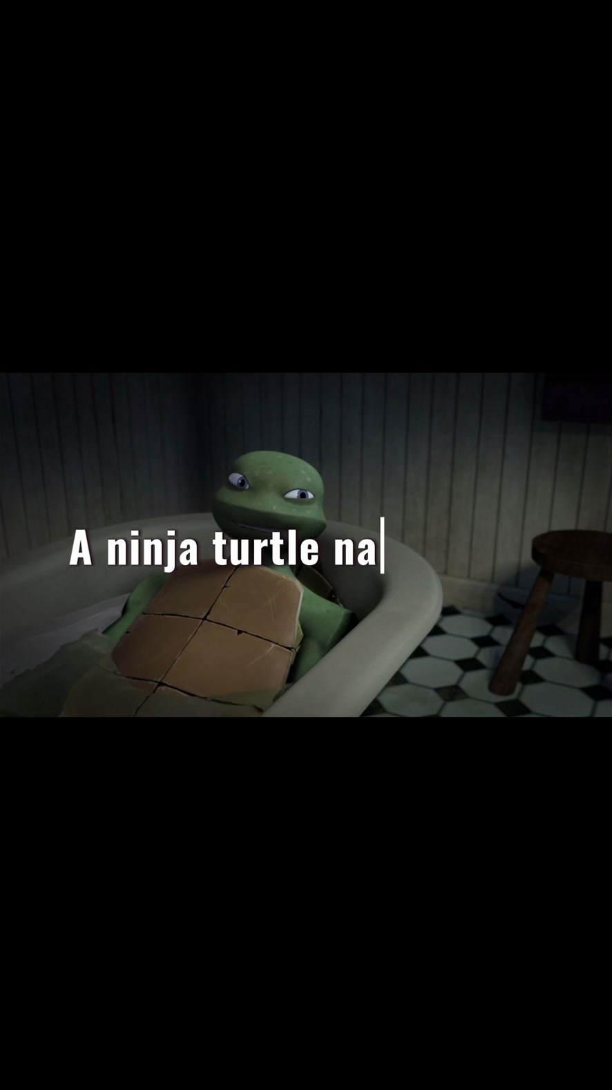 @i_mwturtles