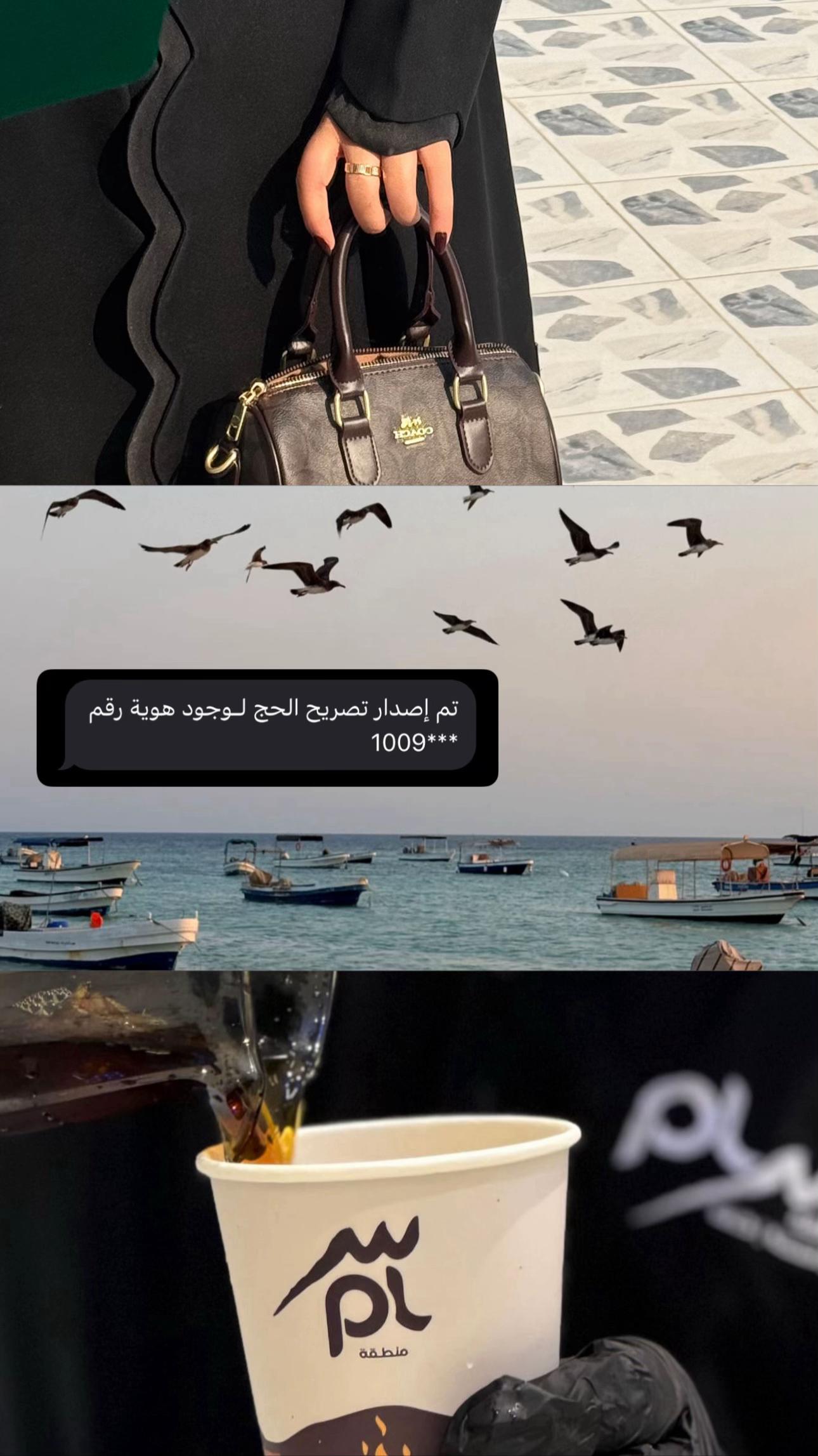 @رابغ و جده | وجــٌود الثمـار
