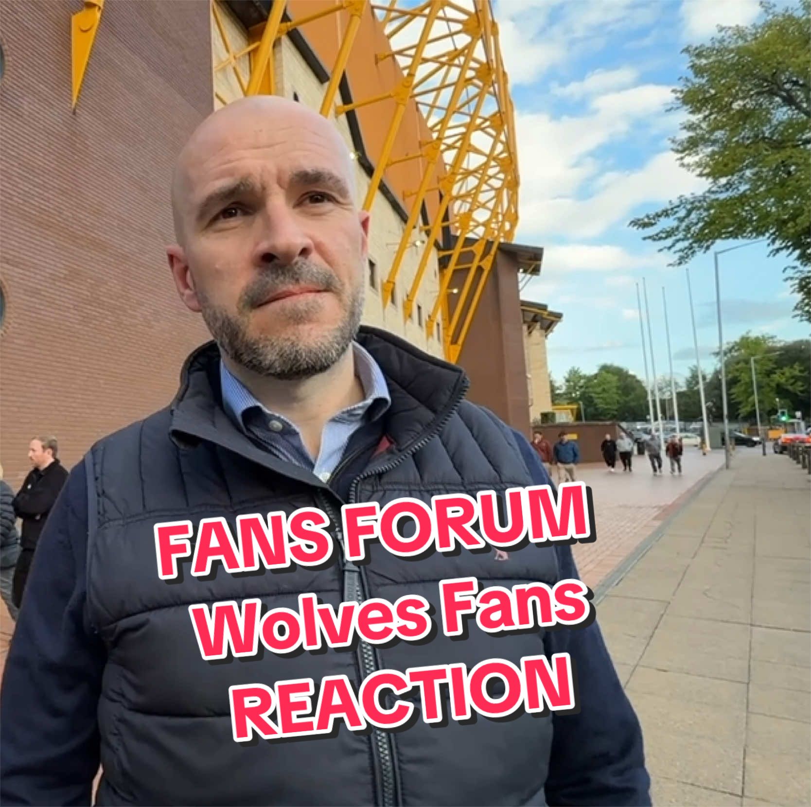 @ALWAYS WOLVES FAN TV