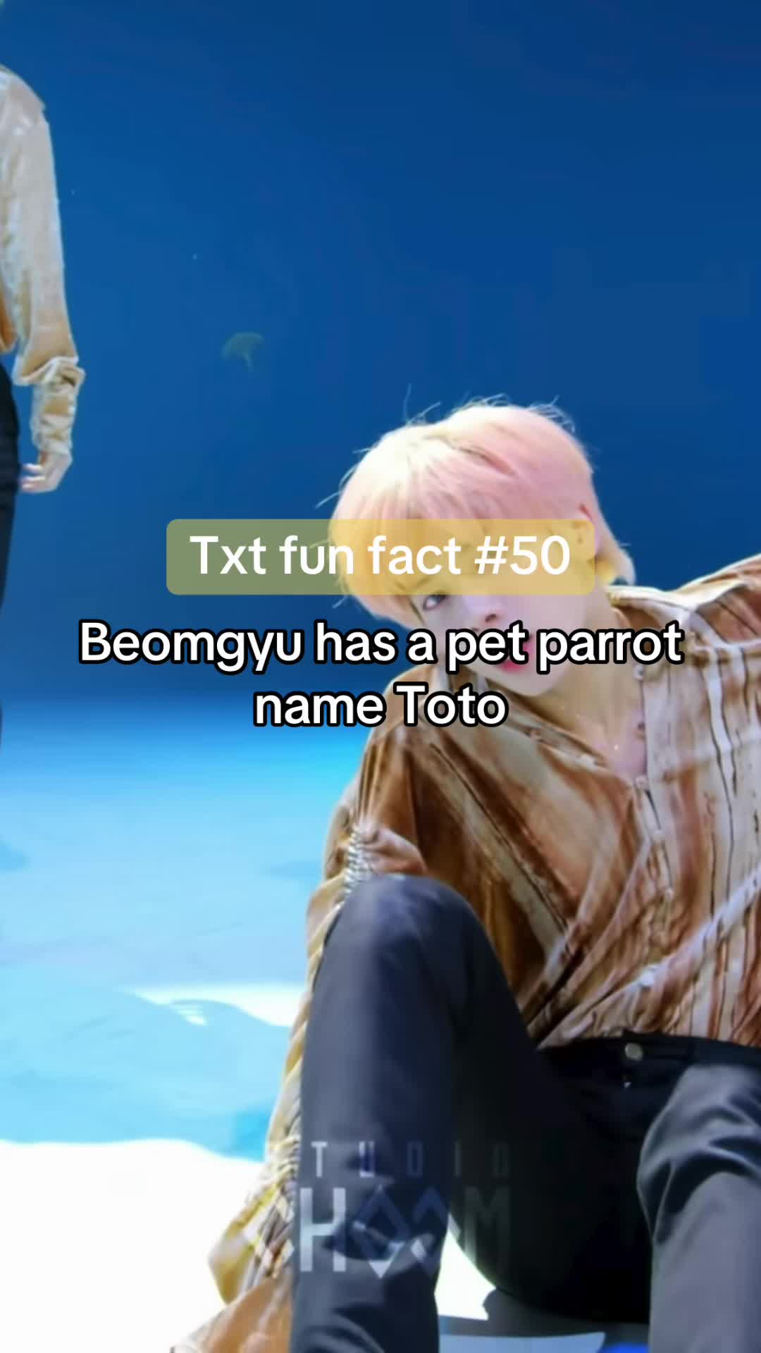 @lemon<3