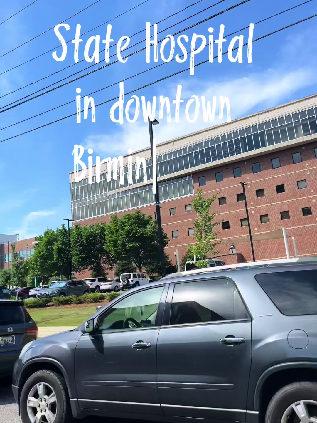 @LifeWithTheSteenkampsUSA🇺🇸