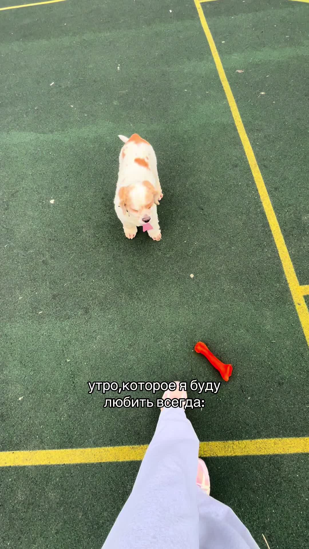 @snowhitu