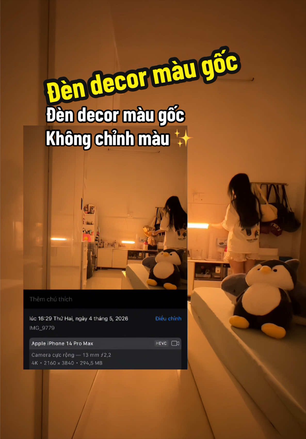 @Nhung Chan