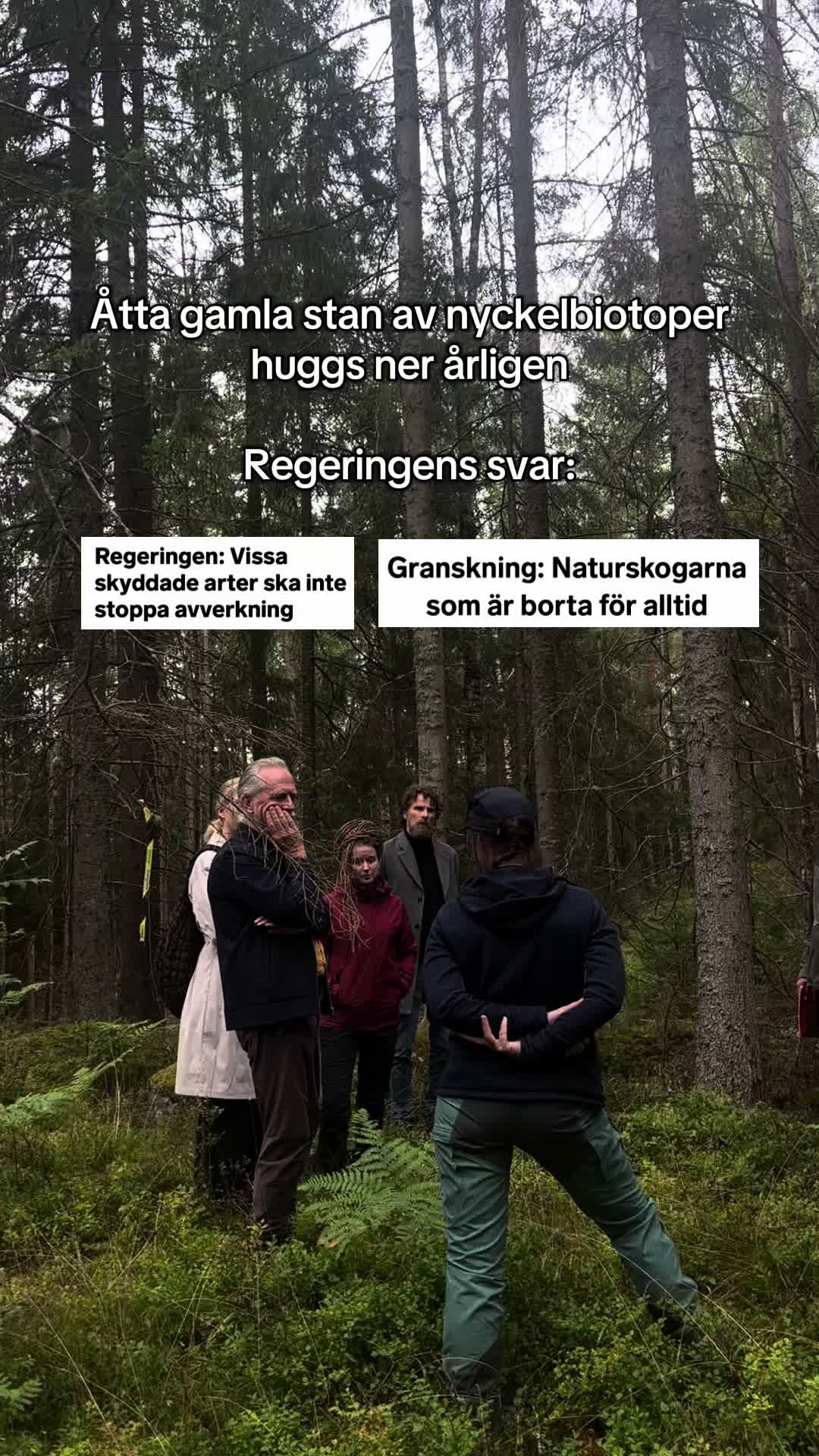 @danielhellden