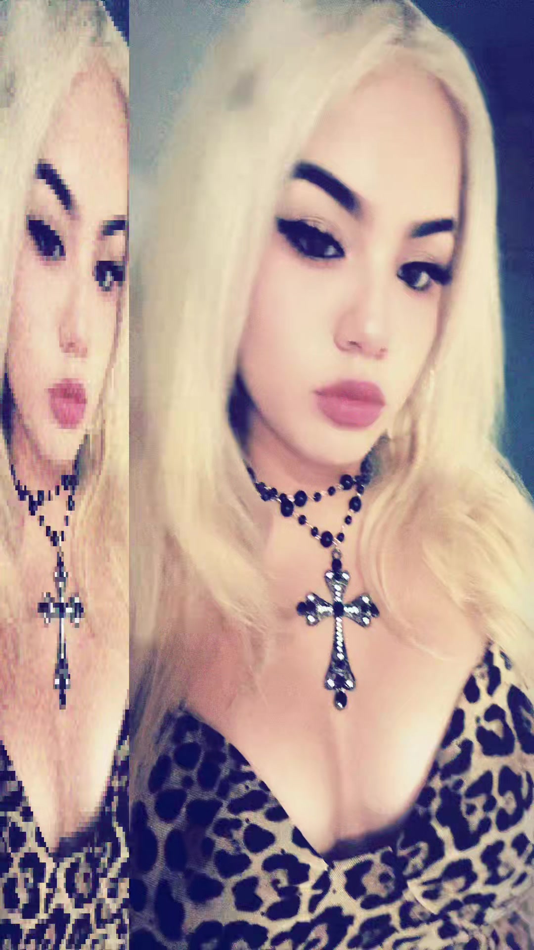 @arizstocat