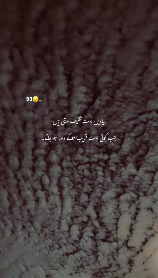 @✴️ secret people 🤫 ✴️