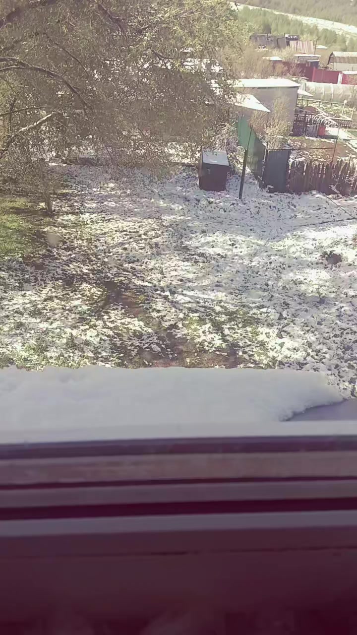 @ты сын шлюхи