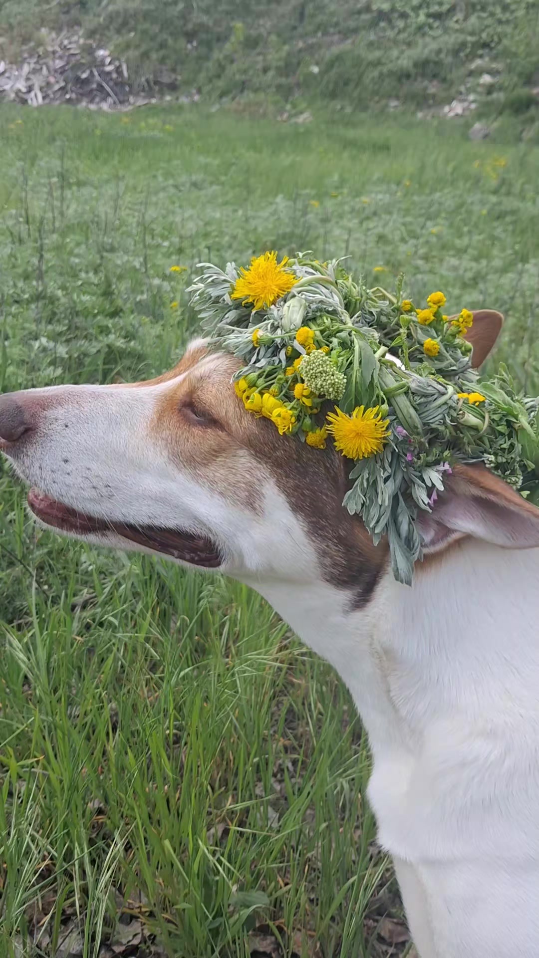 @Танюша Смирнова
