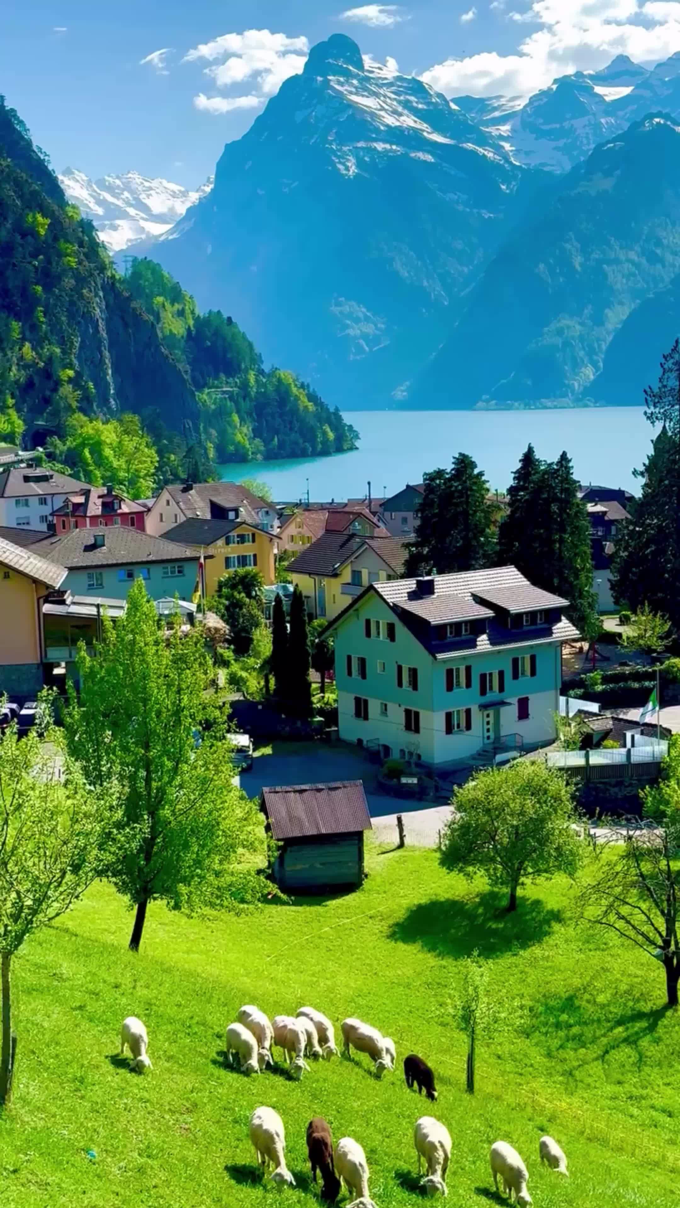 @World 🌍 beauty