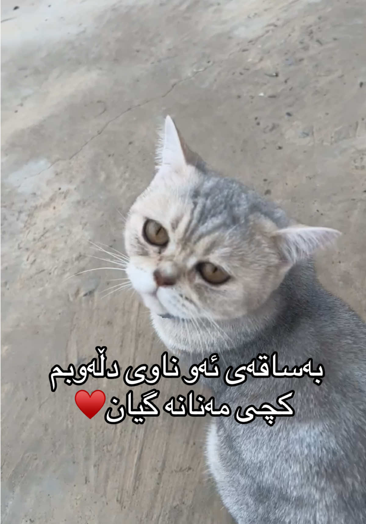 @R&rsquo;&rsquo;🌞♾️