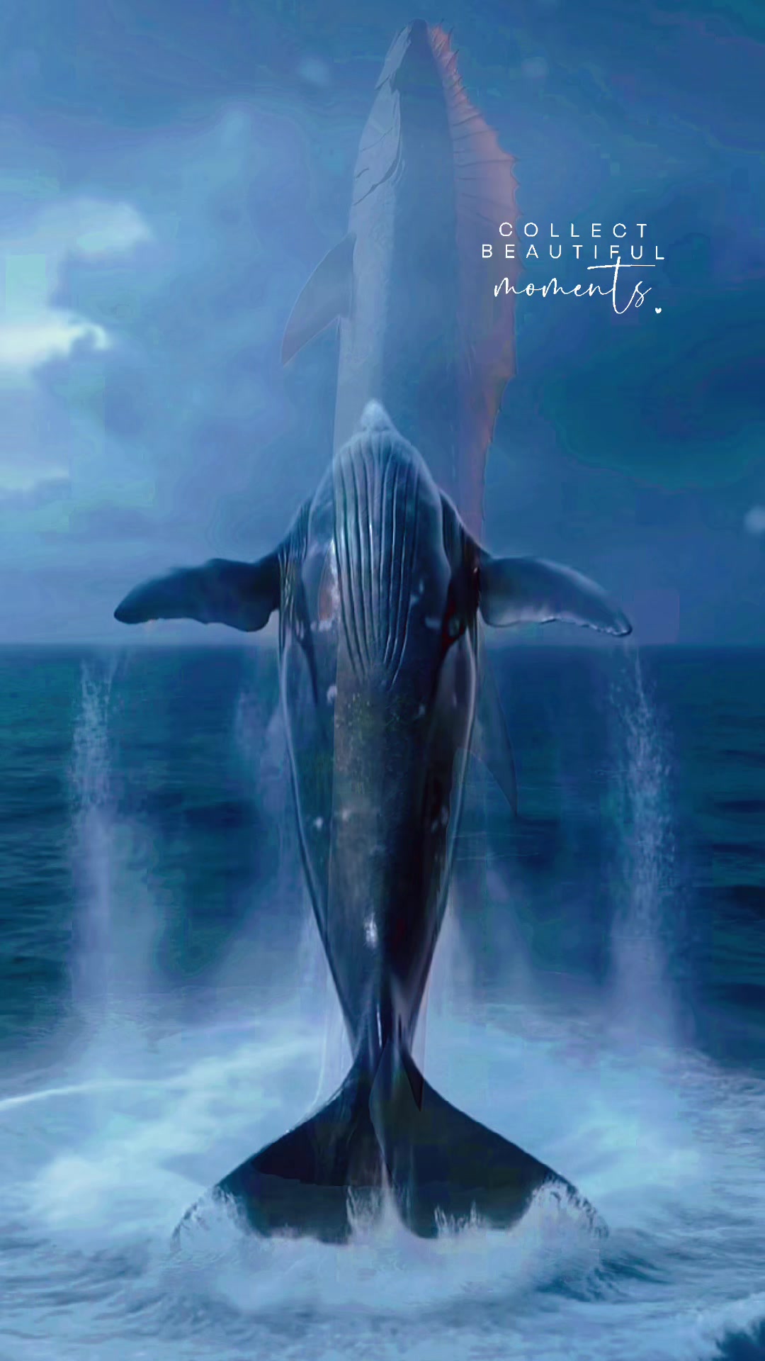 @𝕯𝖊𝖓𝖎𝖘 𝖊𝖑 𝖙𝖎𝖌𝖗𝖊