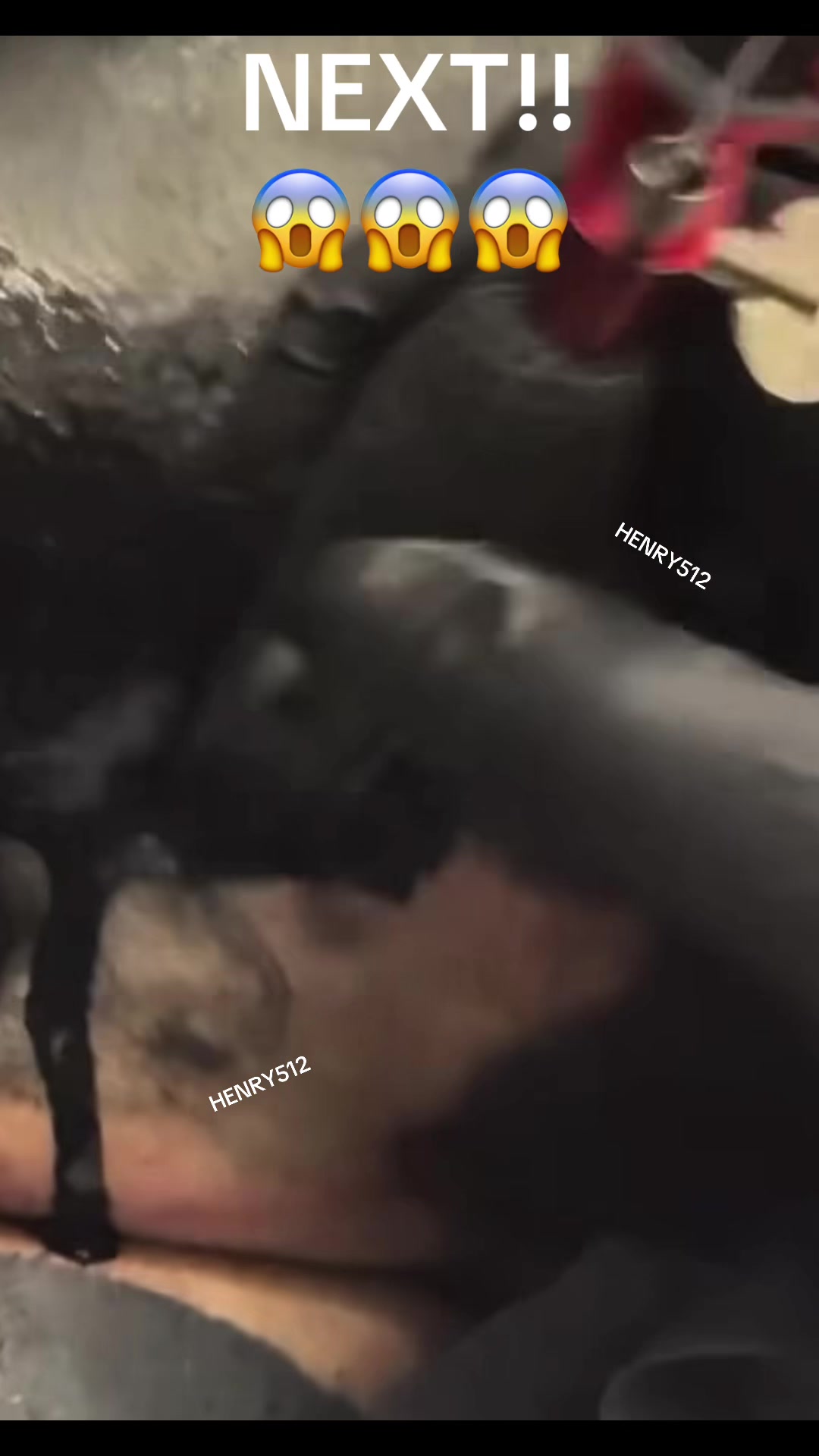 @HENRY512