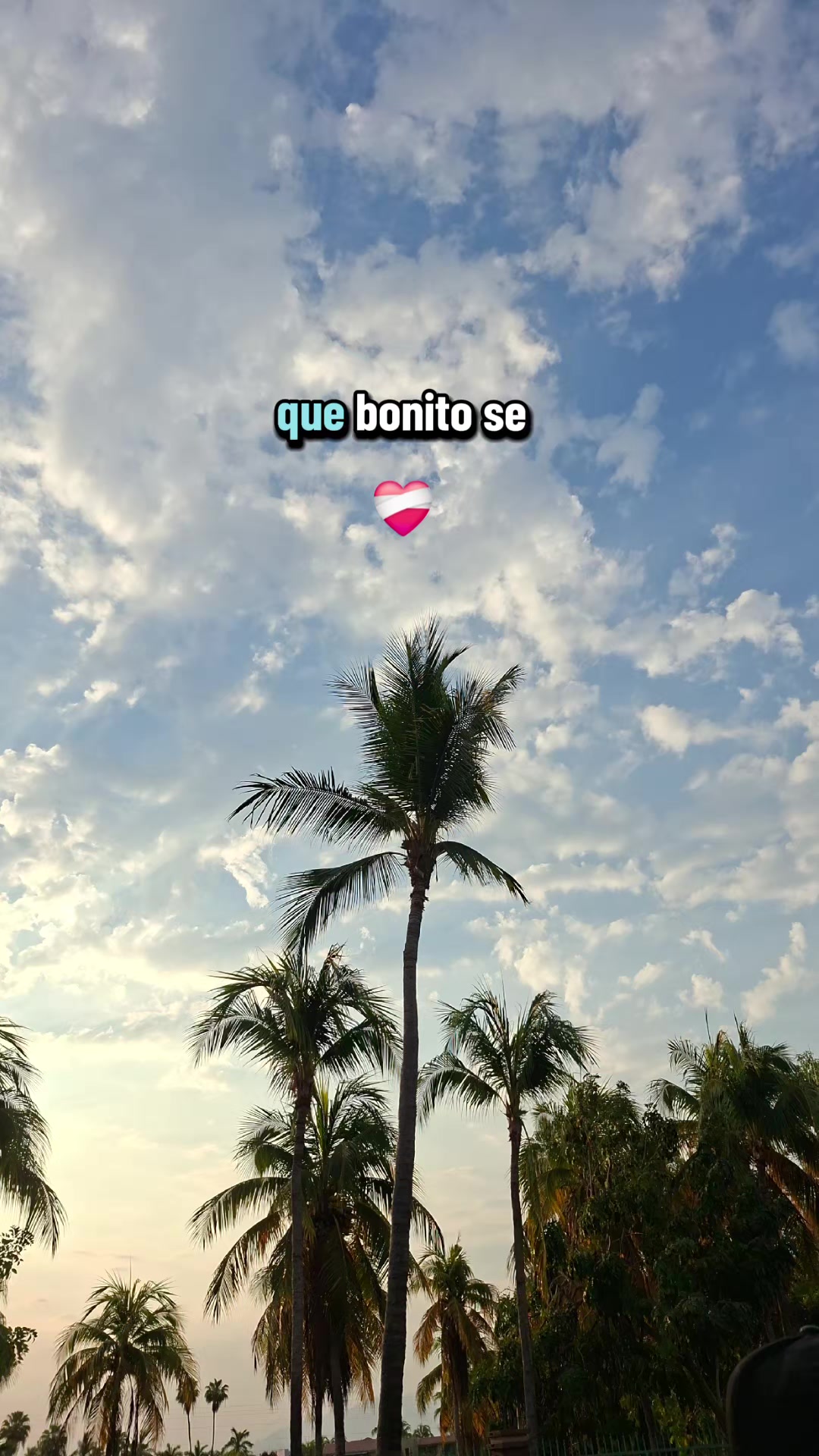 @Daniela
