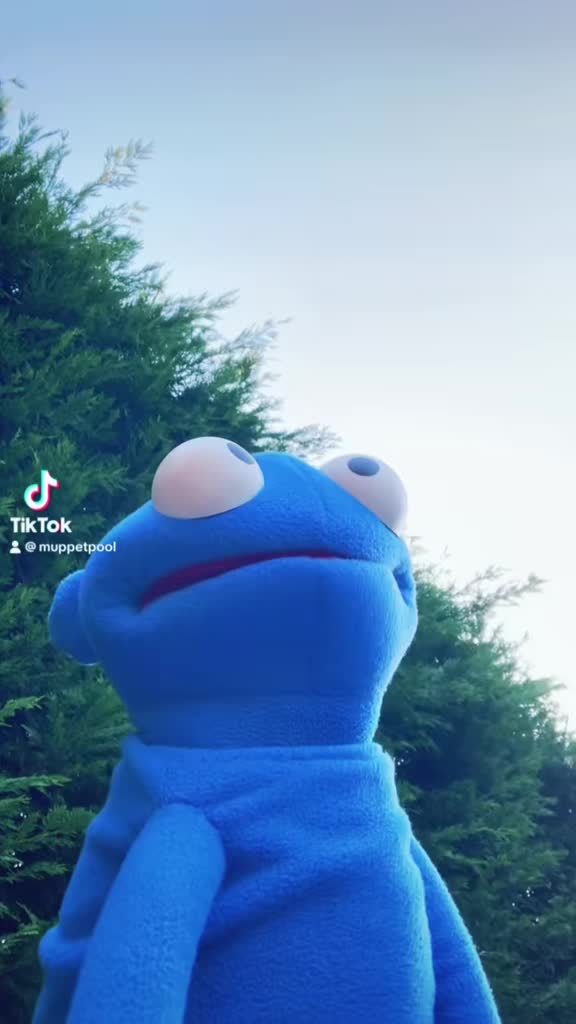 @MUPPETPOOL