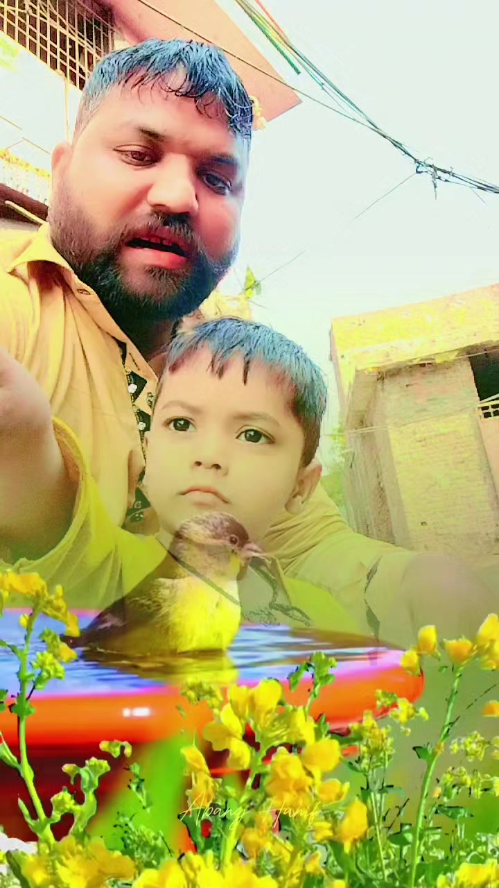 @Arshad talir