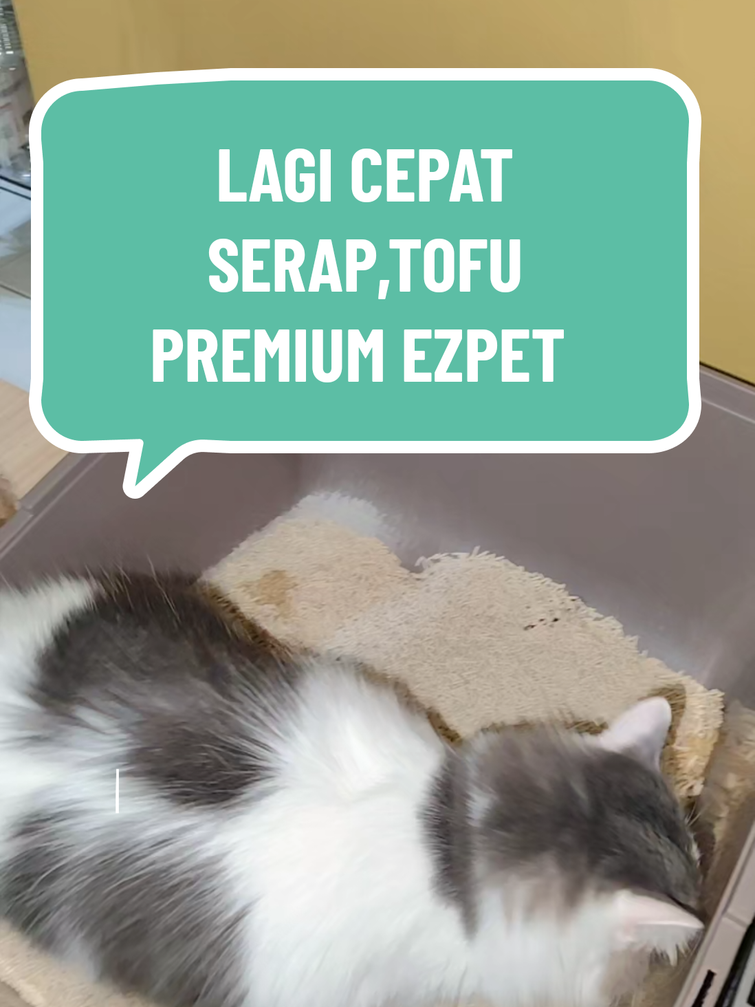 @Omma Kucing 🇲🇾🍉