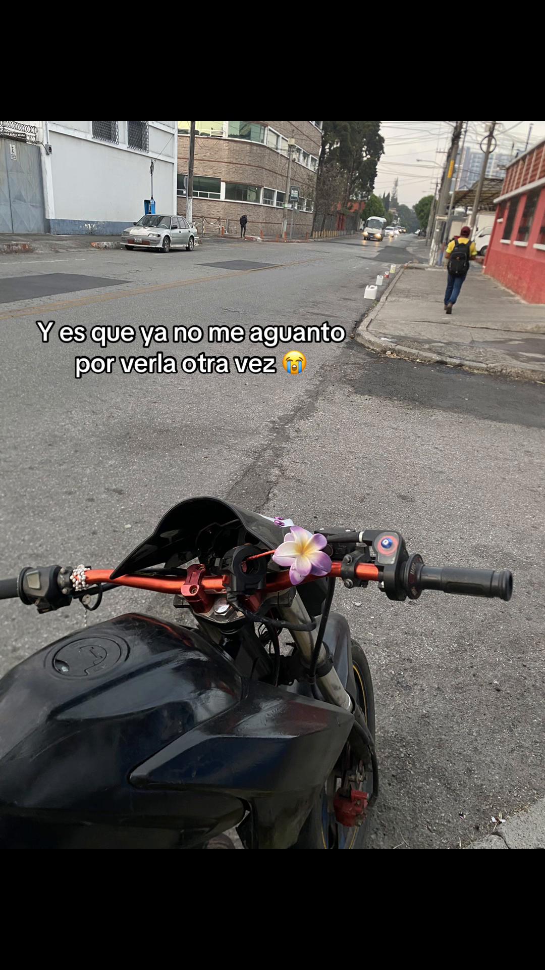 @EL PANTERA