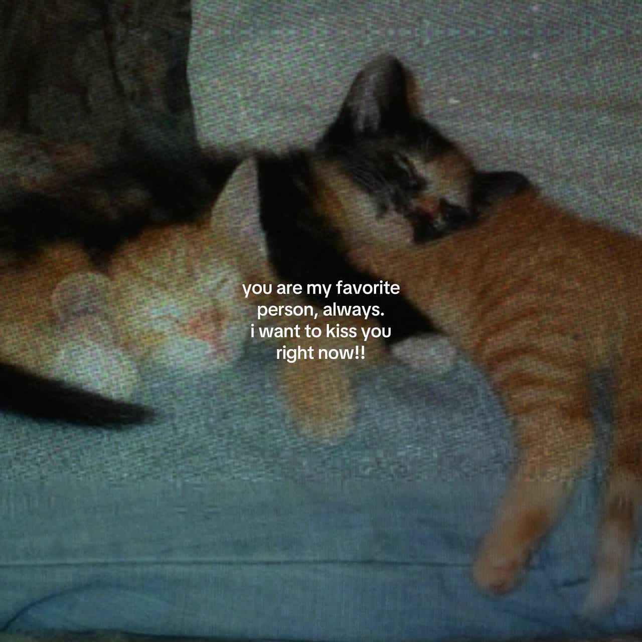 @.