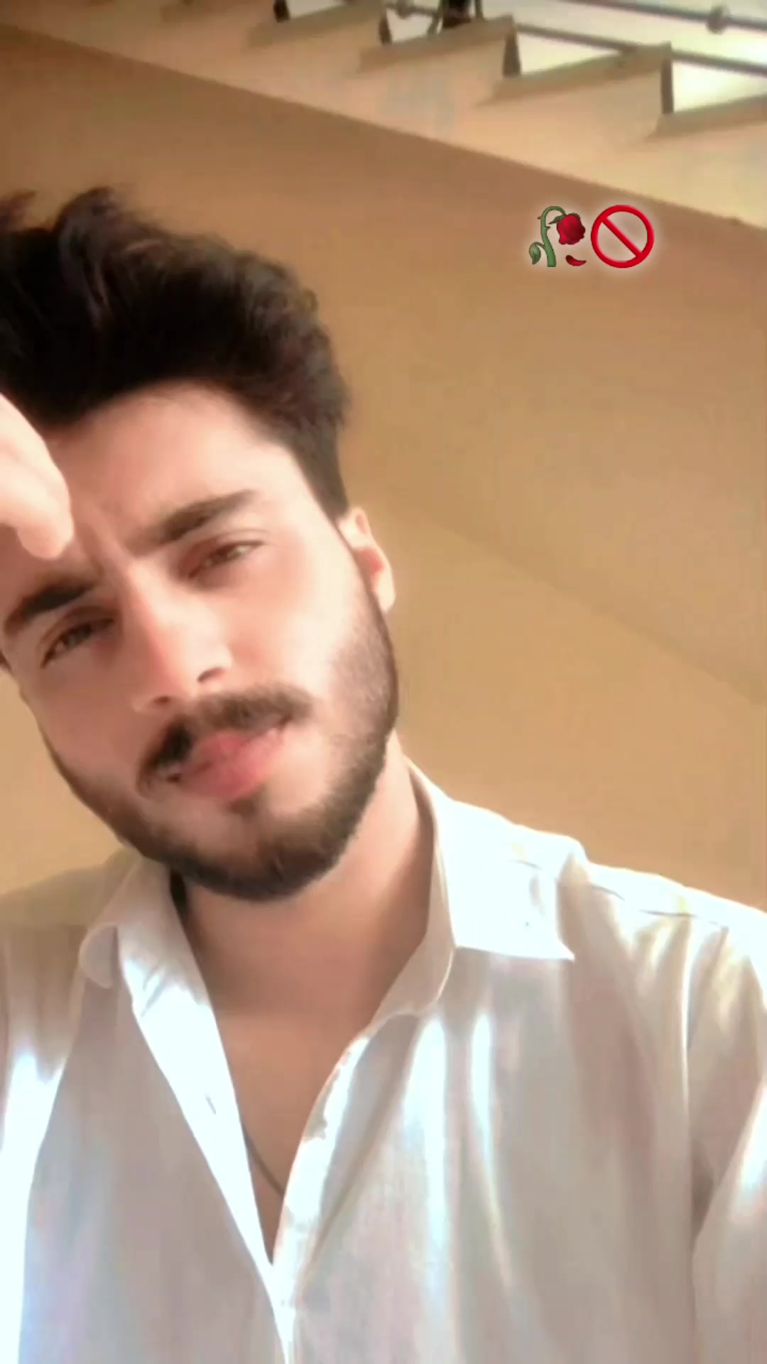 @🕊️🕷️