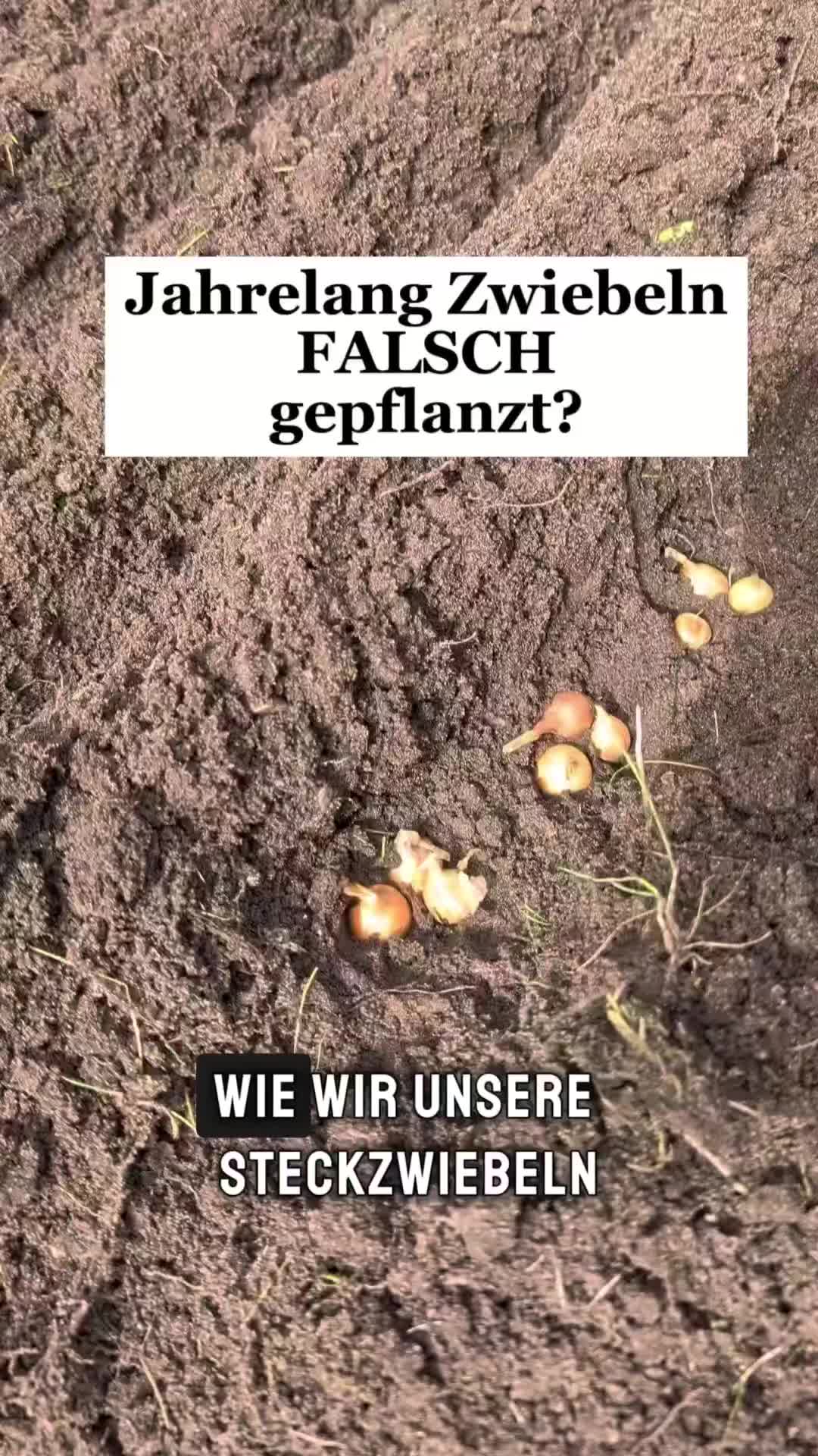 @ErnteExperte