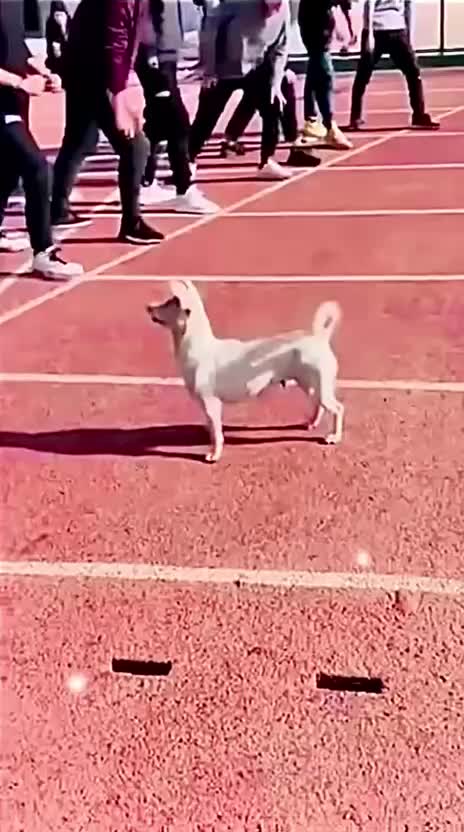 @Funny