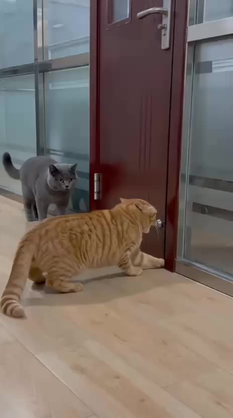 @Funny